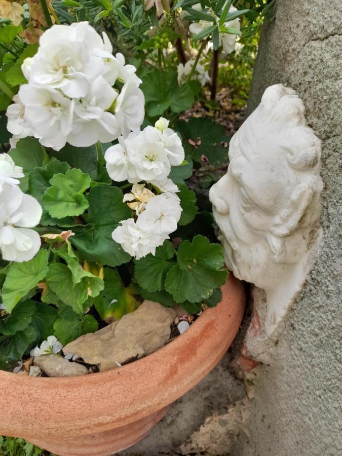 Monti Guesthouse Monti di Licciana Nardi Εξωτερικό φωτογραφία